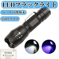 ブラックライト UV 紫外線ライト 懐中電灯 ハンディライト ブラック シルバー 電池式 乾電池 充電式 汚れ…