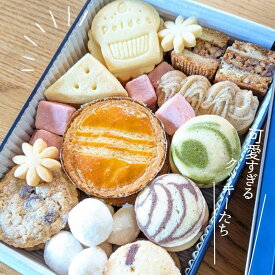 ポルドットのクッキー缶 #35 クッキー缶 ギフト かわいい 可愛いクッキー 缶入りクッキー セット かわいいお菓子 可愛いお菓子 シマエナガ グッズ 鳥 好き プレゼント かわいいクッキー缶 詰め合わせ 出産 内祝い おしゃれ インスタ 贈り物