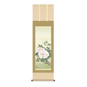 | { ̊  |  Ԓ Gߏ N| xM(ӂ) ʕ