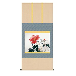 [q {̋ | { ̊  | 敡 O(ڂ) ʕ