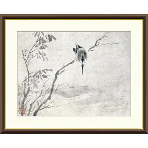 G {̖ Ő} M z CeA A[g zG ʕ 