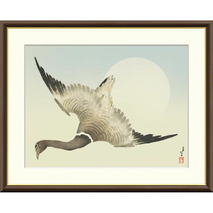 G {̖ ̑OԊ k z CeA A[g zG ʕ 