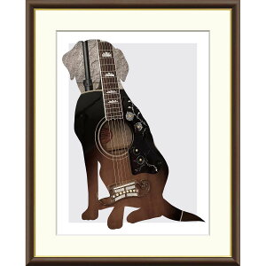 G A[g Guitar R z CeA A[g zG ʕ 