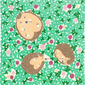 iFC~ ٓ ӂ낵 GRobO [  50cm kata kataނсyѕtz nlY~ O[ {