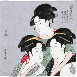 C~ ӂ낵 GRobO [  cI[KjbNRbg Ol VlY 70cm {