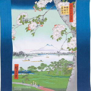 C~ ӂ낵 GRobO [  cI[KjbNRbg c쐅_̐X^ R 70cm {