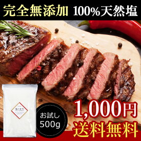 【最安値に挑戦！】天日塩（天然塩）塩こまち 500g《送料無料》飲食店、料亭でも使われています！ 業務用 無添加 ポイント消化　ぽっきり 1000円