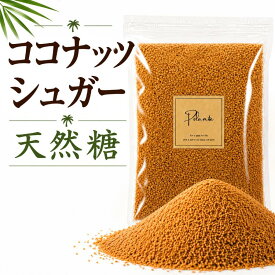 天然 ココナッツシュガー 500g《送料無料》無添加 無精製 低GI 低糖質 天然糖 シュガー