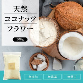 天然 ココナッツフラワー 500g 《送料無料》無添加 無漂白 無農薬 ココナッツパウダー ココナッツ粉 コーンスターチ