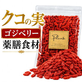 極上 クコの実 無添加 100g 《送料無料》ドライフルーツ ゴジベリー 最安値 おつまみ お菓子 ポイント消化 ぽっきり 1000円 メール便