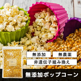 ポップコーン 900g 無添加 《送料無料》とうもろこし 豆 コーン 種 お菓子 おうちで簡単！