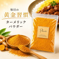 ターメリックパウダー 500g 無添加《送料無料》ターメリック ウコン ウコンパウダー スパイス ハーブ 香…