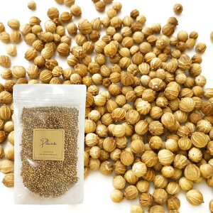 RA_[V[h 50g ^ z[ Y st RA_[V[h RA_[ XpCX n[u h 