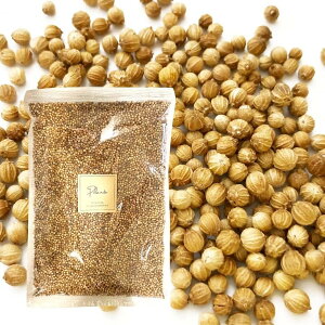 RA_[V[h 500g ^ z[ Y st RA_[V[h RA_[ XpCX n[u h 