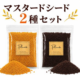 マスタードシード 2種セット/ブラウンマスタードシード 100g/イエローマスタードシード 100g 《送料無料》無添加 インド産 選別品 スパイス ハーブ 香辛料 調味料