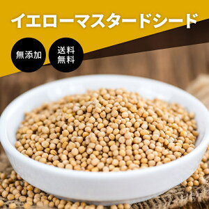 CG[}X^[hV[h 1kg Ɩp eʁstY ChY Iʕi hq 炵 }X^[h XpCX n[u h 