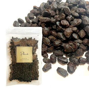  g[` 100gst {i 哤 ؗ XpCX n[u h 