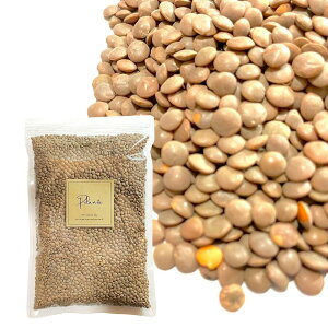 Y t 500gst}X[z[ uEeB  ܂ Ɩp