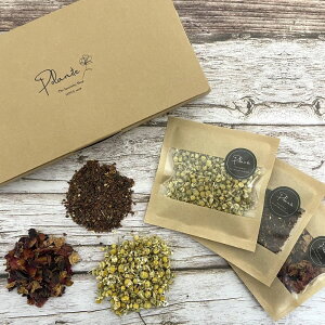 Mtg  n[ueB[ 3Zbgst ( [Yqbv / J~[ / [Ybhy^) lߍ킹 n[u o^C v`Mtg v[g