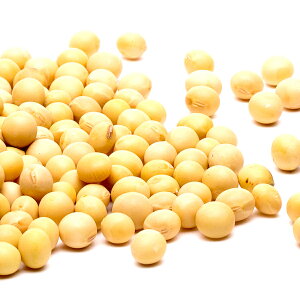 ߎq̎q哤 kCY I哤ste Ɩp 哤 } Y 哤 [ 1000~ۂ