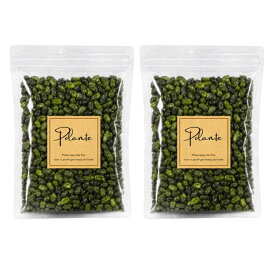 スーパーグリーンピスタチオ 100g 無農薬 無添加 《送料無料》ピスタチオ グリーンピスタチオ 製菓用 業務用 製パン 製菓材料 トッピング お菓子作り パスタ ソース アイス ジェラート