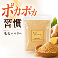 生姜パウダー 100g《送料無料》無添加 ジンジャーパウダー スパイス専門店品質 粉末 スパイス 大容量 業…