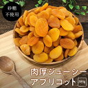 肉厚アプリコット 杏 500g《送料無料》ドライフルーツ ドライ杏 ドライアプリコット おつまみ お菓子 ポイント消化 ぽっきり 1000円