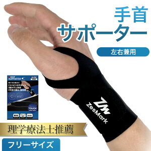 r[TywÖ@mE^g₷xyʐ݌vz T|[^[  Œ T|[^[ F≊ ֐ߒ Ǝ 玙 싅 o[ o[{[ oXP X|[c jp jp