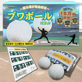 Polaristure 【正規品】プワボール プワボール野球 プアボール 変化球 ボール 変化球ボールの握り方解説付き 2個入り