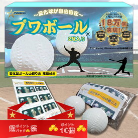 ★★超ポイントバック祭！ポイント10倍進呈中！★★Polaristure 【正規品】プワボール プワボール野球 プアボール 変化球 ボール 変化球ボールの握り方解説付き 2個入り