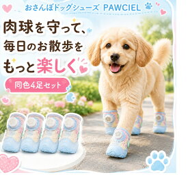 楽天スーパーSALE！ Polaristure 犬靴 犬の靴 犬用靴 ドッグシューズ 4足セット 小型犬 ダイヤル式 滑り止め 通気性 メッシュ 反射材 肉球保護 散歩 泥汚れ対策 柔らかソール PAWCIEL 履かせやすい 脱げにくい フィット調整 足元保護 熱い路面 夜道 おしゃれ パステルカラー