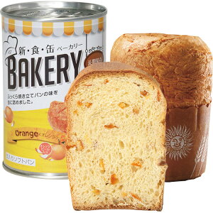 AXg@VHʃx[J[i24ʁjIW i Mtg 蕨