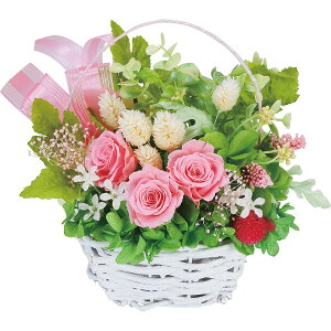 sX[p[Z[EPoint5{tvU[uht[ēsN i Mtg 蕨