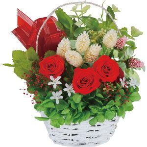 sX[p[Z[EPoint5{tvU[uht[ē背bh i Mtg 蕨