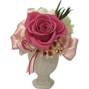 sX[p[Z[EPoint5{tBivU[uht[jsN i Mtg 蕨