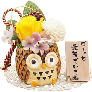 sX[p[Z[EPoint5{t낤ivU[uht[jCG[ i Mtg 蕨