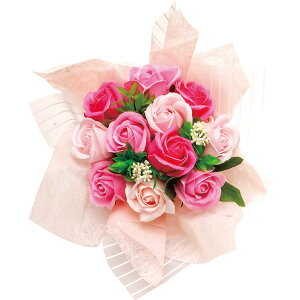 XJ[bgu[Pi\[vt[jLfBsN i Mtg 蕨