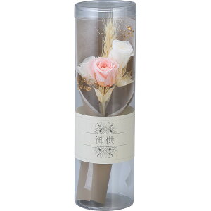 sX[p[Z[EPoint5{tvU[uht[ԁ@~؁i񂰁jsN i Mtg 蕨