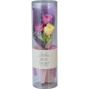 sX[p[Z[EPoint5{tvU[uht[ԁ@~؁i񂰁jp[v i Mtg 蕨