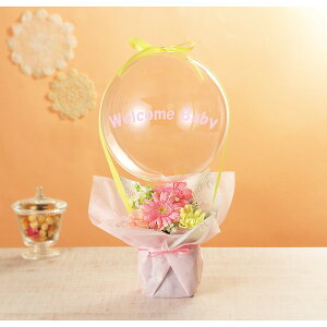 t[×o[AW@EFJxr[ i Mtg 蕨