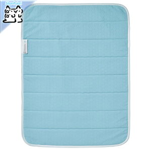 y IKEA - CPA -zREXBEGONIA -bNXxSjA- Ђ⊴pbh 60x80 cm (305.221.78)