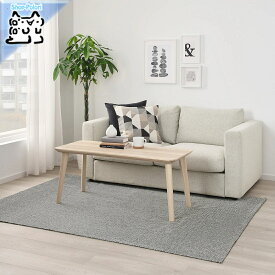 【IKEA -イケア-】TIPHEDE -ティプヘデ- ラグ 平織り グレー/ホワイト 155x220 cm 絨毯 カーペット (604.700.45)