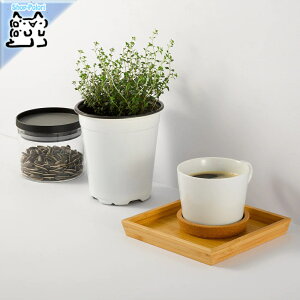 y IKEA - CPA -zOSTBIT -IXgrbg- gC | 15x15 cm (804.888.17)