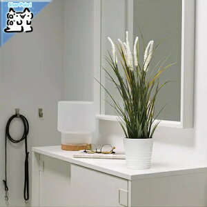 sX[p[Z[EPoint5{ty IKEA - CPA -zFEJKA -tFCJ- lHϗtA /Op fR[V OX 9 cm (004.339.37)