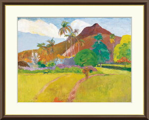 sX[p[Z[EPoint5{tymEz^q`̎R |[ES[M 42×34cm F4TCY t[