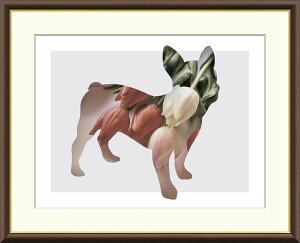 yCeAA[gEzTulip R 52×42cm F6TCY t[
