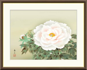 yCeAA[gEzxM 鑺GR 52×42cm F6TCY t[