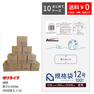 y|Cg10{z10/24 20`10/27 09:59܂Ły܂Ƃ߂10P[XzKi 12  100×40x10P[X(v 40000)0.030mm 1210~  LDPEf | rj[ AC-12_10 |Ct