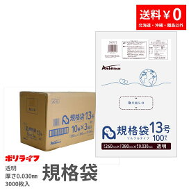 【ポイント5倍】★8/4 20:00〜8/11 01:59まで規格袋 13号 透明 100枚×30冊x1ケース(合計 3000枚)0.030mm厚 送料無料 LDPE素材 ポリ袋 ビニール袋 AC-13 ポリライフ ポリシャス アンビシャス