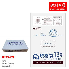 【新生活応援ポイント5倍】【小箱販売】規格袋 13号 透明 100枚×10冊(合計 1000枚)0.030mm厚 1冊あたり358円 送料無料 LDPE素材 ポリ袋 ビニール袋 AC-13_1kb ポリライフ ポリシャス アンビシャス